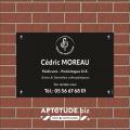 Plaque professionnelle 300x200 mm (ONPP)